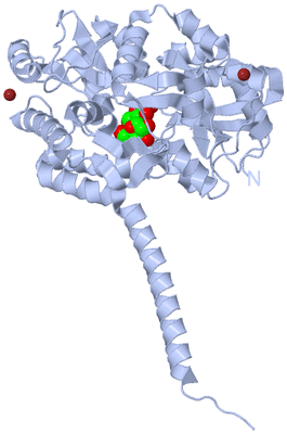 Image Biological Unit 1