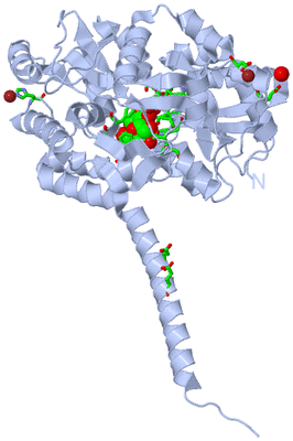 Image Biol. Unit 1 - sites