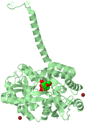 Image Biological Unit 2