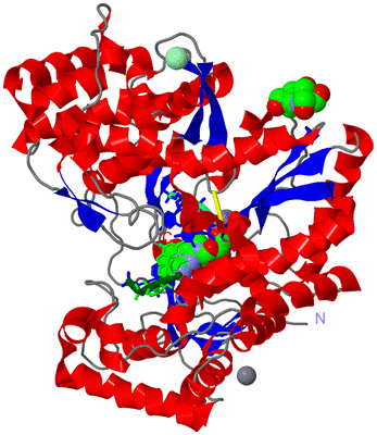 Image Asym./Biol. Unit