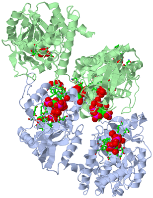 Image Biol. Unit 1 - sites