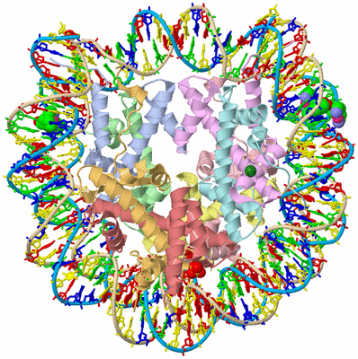 Image Asym./Biol. Unit