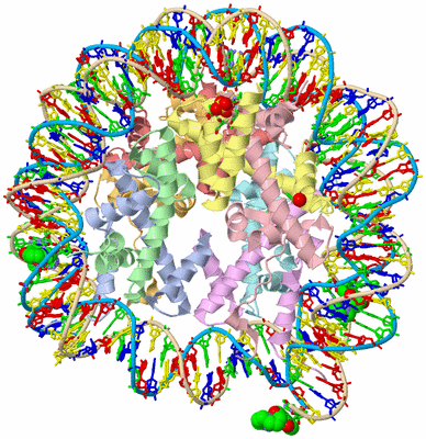 Image Asym./Biol. Unit - sites