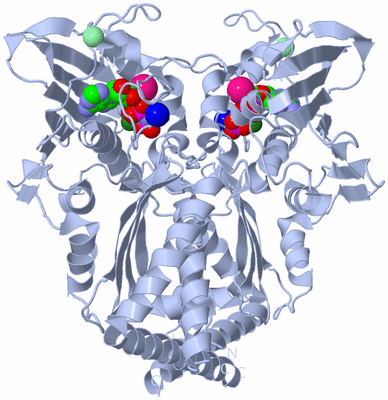 Image Biological Unit 1