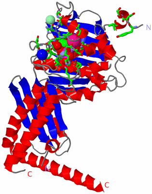 Image Asym. Unit - sites