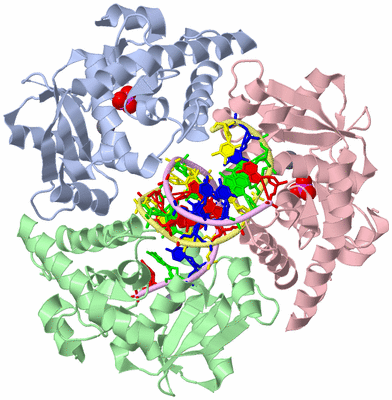 Image Asym./Biol. Unit