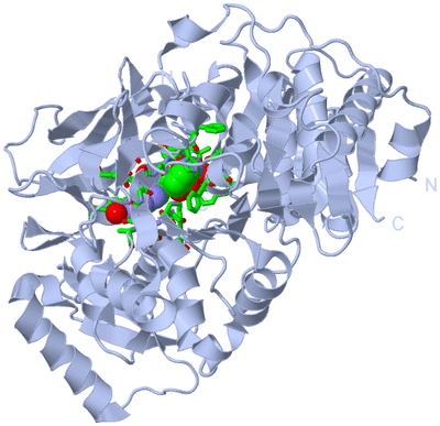 Image Biol. Unit 1 - sites