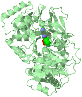 Image Biological Unit 2