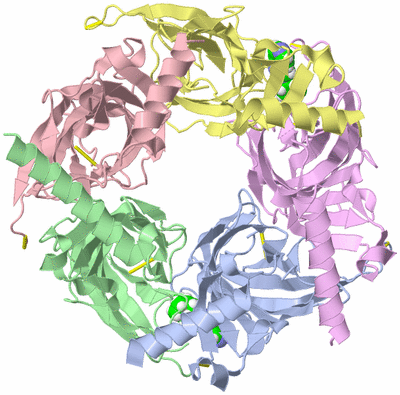 Image Asym./Biol. Unit