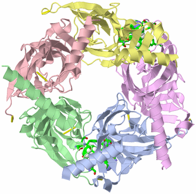 Image Asym./Biol. Unit - sites