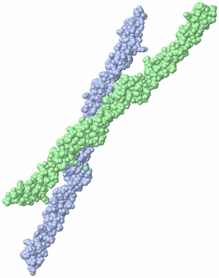 Image Asymmetric Unit