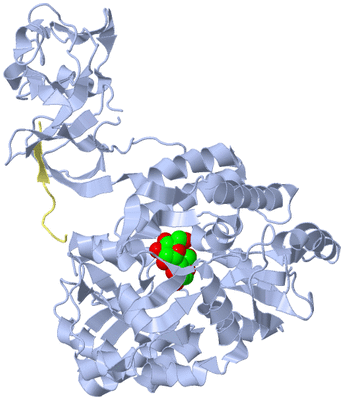 Image Asym./Biol. Unit