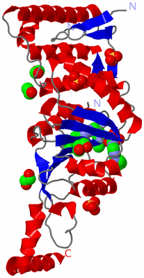 Image Asym./Biol. Unit