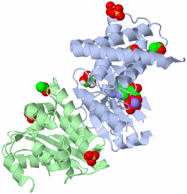 Image Asym./Biol. Unit