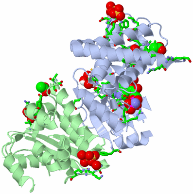 Image Asym./Biol. Unit - sites