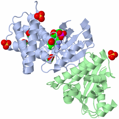 Image Asym./Biol. Unit