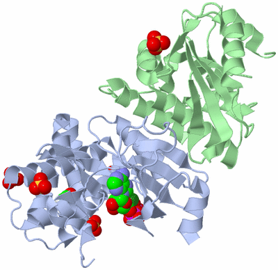 Image Asym./Biol. Unit