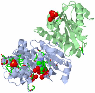 Image Asym./Biol. Unit - sites