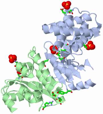 Image Asym./Biol. Unit - sites