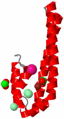 Image Asymmetric Unit