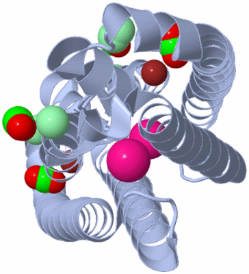 Image Biological Unit 1