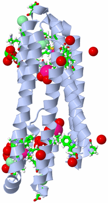 Image Biol. Unit 1 - sites