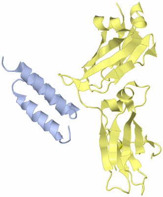 Image Biological Unit 1