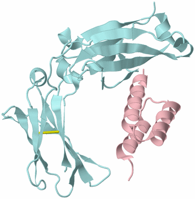 Image Biological Unit 3