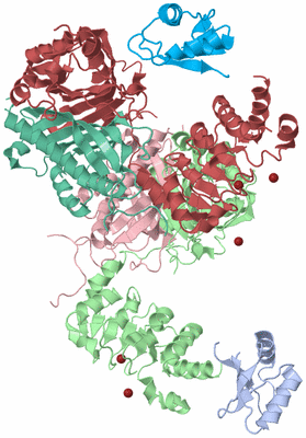 Image Biological Unit 1