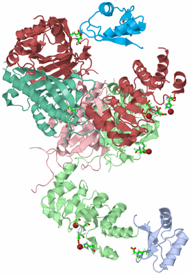 Image Biol. Unit 1 - sites