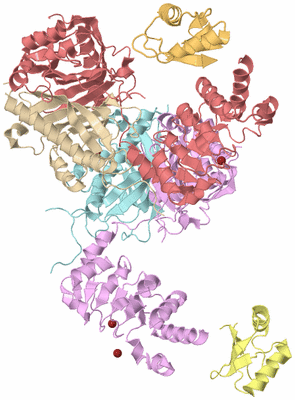 Image Biological Unit 2