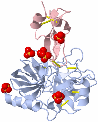 Image Biological Unit 1