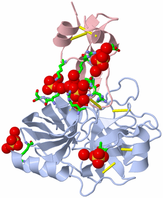 Image Biol. Unit 1 - sites