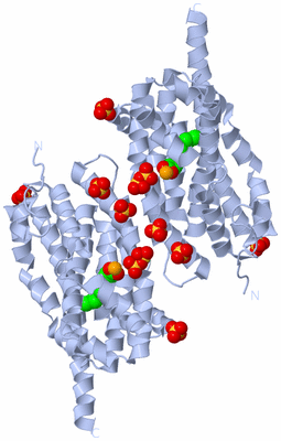 Image Biological Unit 1