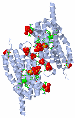 Image Biol. Unit 1 - sites