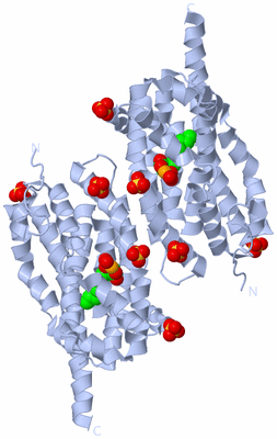 Image Biological Unit 1