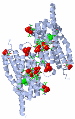 Image Biol. Unit 1 - sites