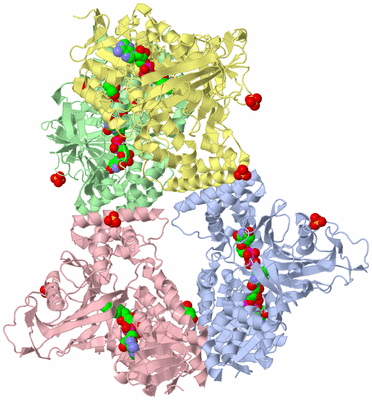 Image Asym./Biol. Unit