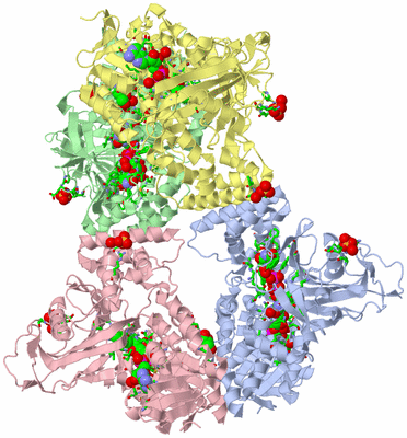 Image Asym./Biol. Unit - sites