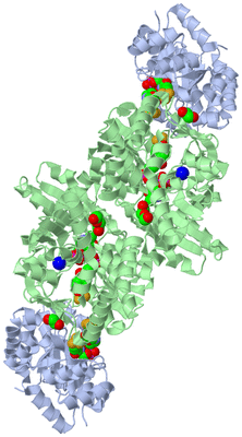 Image Biological Unit 1