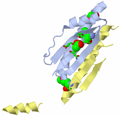 Image Biol. Unit 1 - sites