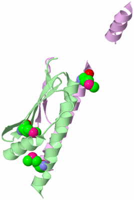 Image Biological Unit 2