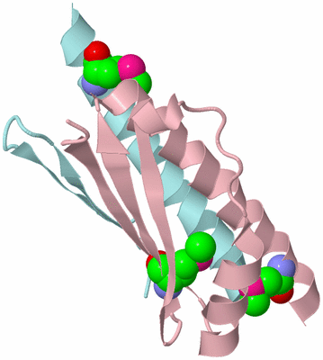 Image Biological Unit 3