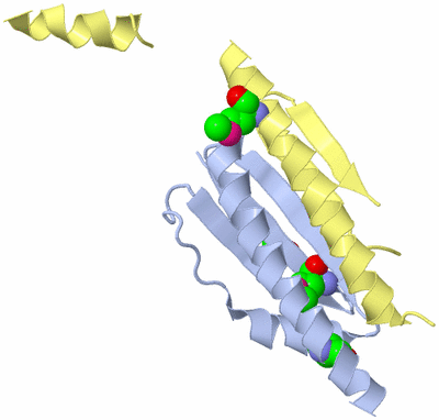 Image Biological Unit 4