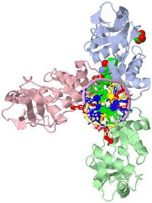 Image Biological Unit 1