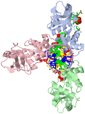 Image Biol. Unit 1 - sites