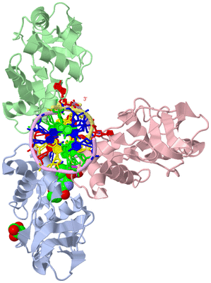 Image Biological Unit 2