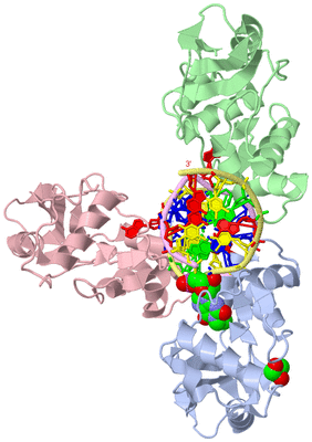 Image Biological Unit 3