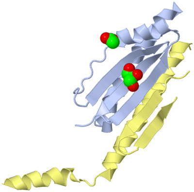 Image Biological Unit 2