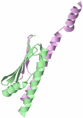 Image Biological Unit 3